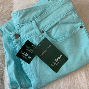 Mint Green Favorite Fit Size 10 Jeans 👖